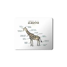 Art Hediye Zürafa Anatomi Giraffe Anatomy Baskılı 23x19 cm Mouse Pad