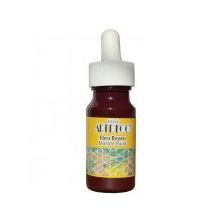 Artdeco 30ml Mürdüm Ebru Boyası