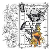 Artebella 5833V Home Design Kolay Transfer