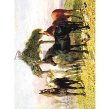 Artebella Artebella 1372V Büyük Kolay Transfer 23x34 (Açık Zeminde Uygulanır)