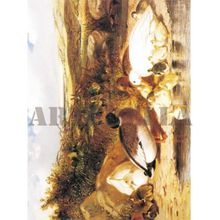 Artebella Kolay Transfer 1373V Ebru Boyası