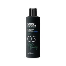 Artego Good Society 05 B Blonde Ash Blue 250 ml Silver Mor Şampuan