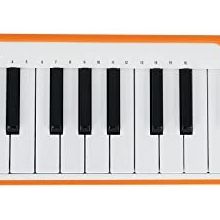 Arturia Microlab Turuncu 25 Tuş SlimKey Micro Keyboard