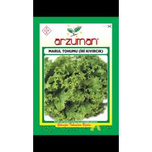 Arzuman 10 Gr İri Kıvırcık Marul Tohumu