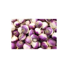 Arzuman 10 gr Şalgam Tohumu