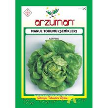 Arzuman 10 gr Şemikler Marul Tohumu