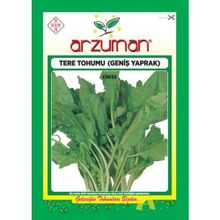 Arzuman 10 gr Tere Geniş Yaprak