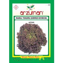 Arzuman 10gr Kıvırcık Marul Tohumu