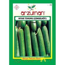 Arzuman 10gr Salatalık (Çengelköy) Tohumu