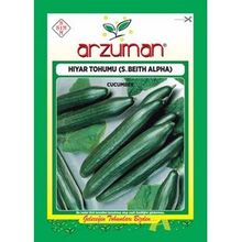 Arzuman Beith Alpha Salatalık Hıyar Tohumu