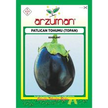 Arzuman Küçük Çiftlik 10 gr Top Patlıcan Tohumu