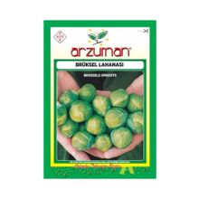 Arzuman Sebze Brüksel Lahana Tohumu