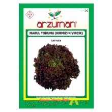 Arzuman Sebze Kırmızı Kıvırcık Marul Tohumu