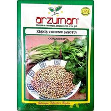Arzuman Süs Bitki Hanım Düğmesi Çiçek Tohumu