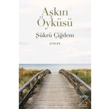 Aşkın Öyküsü - Şükrü Çiğdem