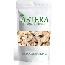 Astera 100 gr Çam Sakızı