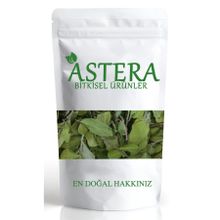 Astera 50 gr Sidr Yaprağı