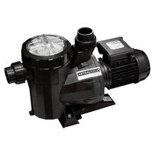 Astral Victoria Plus 1 Hp 380 V Havuz Pompası