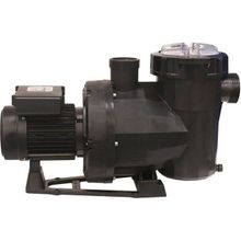 Astral Victoria Plus 1 Hp Monofaze Kendinden Emişli Havuz Pompası