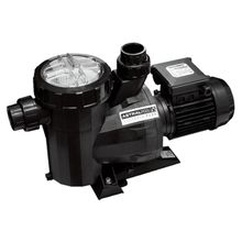 Astral Victoria Plus 2 Hp 380 V Havuz Pompası