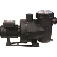Astral Victoria Plus 2 Hp Trifaze Kendinden Emişli Havuz Pompası