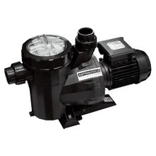 Astral Victoria Plus 3 Hp 220 V Havuz Pompası