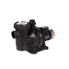 Atlas Pool Florida 0.50 hp Havuz Pompası