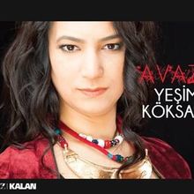 Avaz - Mehmet Salih Erden