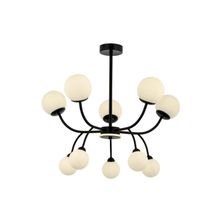 Avonni AV-60386-10BSY Siyah Boyalı G9 Metal Cam 80 cm Modern Avize