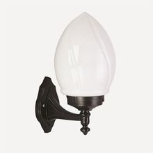 Avonni BAP-68204-BSY-M1 Siyah Bahçe Aplik