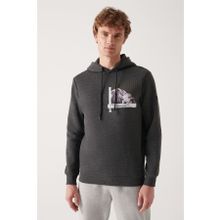 Avva A22Y1250 Antrasit Baskılı Erkek Sweatshirt