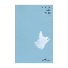 Ayazda Bir Islık - Serdar Arslan
