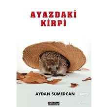 Ayazdaki Kirpi / Aydan Sümercan