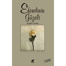 Ayrıntı Yayınları Efendinin Güzeli