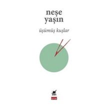 Ayrıntı Yayınları Üşümüş Kuşlar