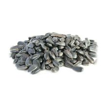 Ayvalık Baharat 1 kg Papağan Çekirdek Yemi