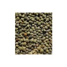 Ayvalık Baharat 100 gr Bamya Tohumu