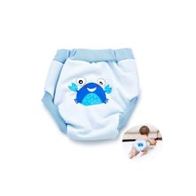 Babyjem Soft Mavi 2 Yaş Alıştırma Külodu