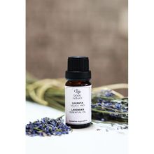 Bade Natural 10 ml Lavanta Uçucu Yağı