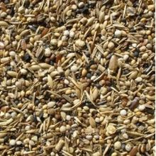 Badem Akvaryum 500 gr Sağlık Tohumu Kuş Yemi