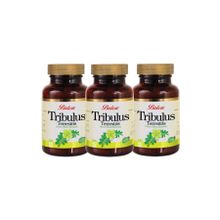 Balen Tribulus Terrestris 620 mg 3x60 Kapsül