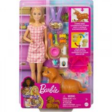 Barbie HCK75 Yeni Doğan Köpekler Oyun Seti