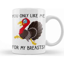 Baskı Dükkanı You Only Like Me For My Breasts Funny Thanksgiving 01 Porselen Beyaz Kupa Bardak