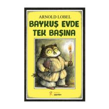 Baykuş Evde Tek Başına - Arnold Lobel