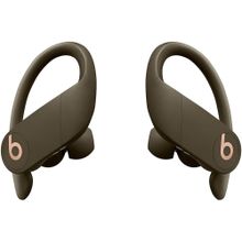 Beats Powerbeats Pro Bluetooth Kulaklık