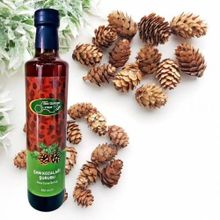 Bee Garden 500 ml Çam Kozalağı Şurubu