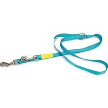 Beeztees 200 cm 20 mm Turkuaz Köpek Gezdirme Kayışı