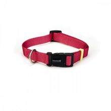 Beeztees 35-50 cm 20 mm Pembe Köpek Tasması
