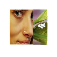 Begonia Accessories 925 Ayar Gümüş Zirkon Taşlı Defne Yaprağı Hızma