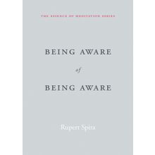 Being Aware of Being Aware: The Essence of Meditation Volume 1